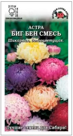 Астра Биг Бен (смесь) 0,2г (Золотая сотка Алтая)