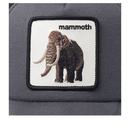 Детская бейсболка GOORIN BROTHERS арт. 201-0060 (серый)