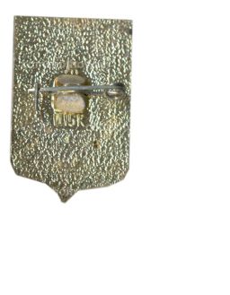 Значок Вологда