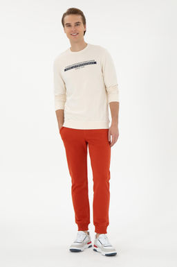 Мужской кремовый свитшот Неожиданная скидка в корзине - U.s. polo assn фото 11