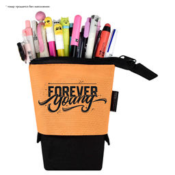 Пенал школьный, арт.58377/ 24 ОРАНЖЕВЫЙ - Феникс+ фото 4