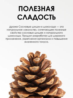 Драже Сосновые шишки в шоколаде 100 г Алфит 6935  фото 20