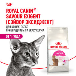 RC Для кошек-приверед ко Вкусу (Exigent 35/30 Savour Sensation) 25311000R0