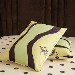 Комплект постельного белья Сатин 100% хлопок C605 2 спальный 70-70 2 шт;50-70 2 шт