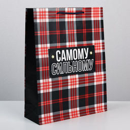 Цена за 2 шт. Пакет подарочный ламинированный, упаковка, Real strong, L 28?38?9 см