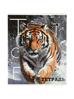 Комплект 12 тетрадей, 48 листов, клетка, 60гр, 4 вида, Животные