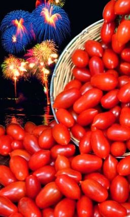 Томат ПРАЗДНИЧНЫЙ Популярный! Впечатляюще урожайный! Для засолки и праздничной сервировке стола!