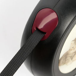 Рулетка с принтом Милашка, 5 м, вес животного до 15 кг, чёрная - Пижон фото 3