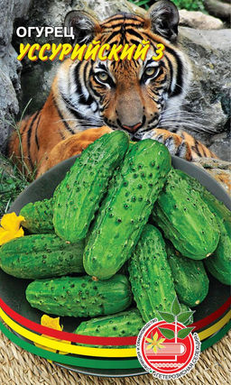 Огурец УССУРИЙСКИЙ 3 Черношипые огурчики идеальны для засолки и маринования! Выносливый сорт!