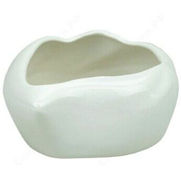 Горшок Кактусник Рапан 19*8см белый (уп.10)