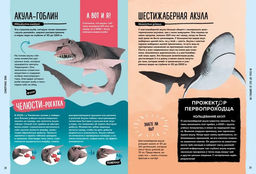 Мир вокруг тебя. Тайны мирового океана. Фланнери Т. - Махаон фото 3