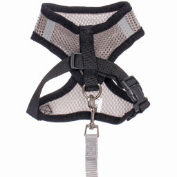 Цена за 2 шт. Шлейка с поводком 118см "Sweet puppy" размер S, цвет серый