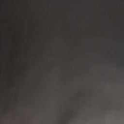 Пленка флористическая матовая, базовые цвета, чёрная, 57 см×10 м