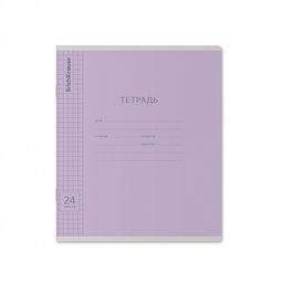 Цена за 160 шт. Тетрадь школьная ученическая ErichKrause Классика Visio ассорти, 24 листа, линейка (в плёнке по 10 шт.) фото 7