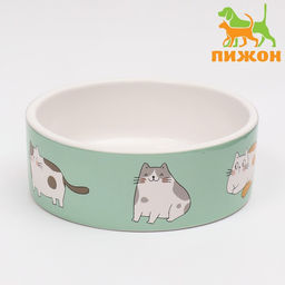 Миска керамическая Котяры 300 мл 12,5 x 4,5 cм, бело-зелёная