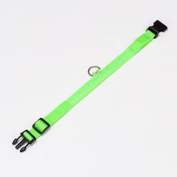 Ошейник с подсветкой, зарядка от USB, размер M, ОШ 37-46 см, 3 режима, зелёный - Пижон фото 4