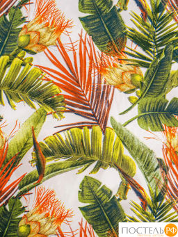 КПБ CASSIA БЕЛЕН  фото 7