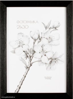 Фоторамка 21x30 / 2009C-012C /