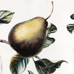 Кухонный набор Этель Груши полотенце 40х73 см, прихватка 19х19 см, фартук 60х65 см  фото 7