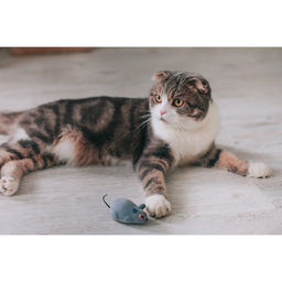 Мышь заводная, 7 см, серая - Пижон фото 8