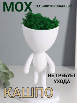 Стабилизированный мох в кашпо пластиковом Мистер Грин бежит, 16.58.58.5 см, белый
