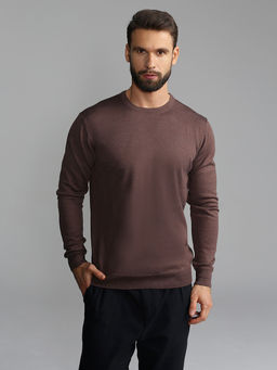 Джемпер мужской GREG G121-EV (какао)  фото 9