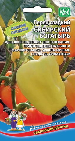 Перец СИБИРСКИЙ БОГАТЫРЬ Обильно увешан плодами! Идеально подходит для запекания, приготовления на гриле и фарширования! Мякоть сочная, сладкая, ароматная!
