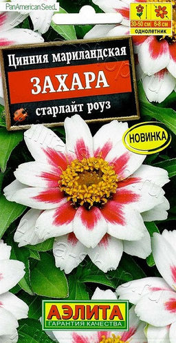 1892A Цинния Захара старлайт роуз 5шт