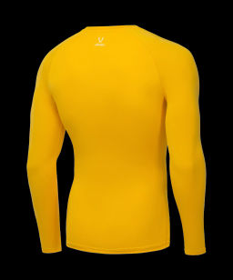 Футболка компрессионная с длинным рукавом JOGEL CAMP PerFormDRY Baselayer LS Tee, желтый  фото 3