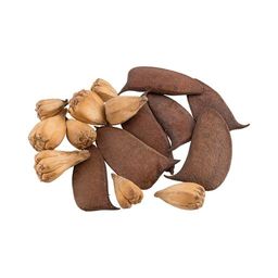 Blumentag SDE-01 Набор природных материалов 100 г  5 г 01