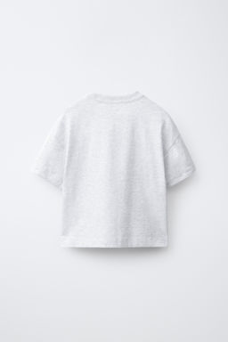CAMISETA LISA / Gris vigor?