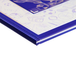 Цена за 2 шт. Дневник школьный для 1-11 классов, «Глобус и перо», твёрдая обложка 7БЦ, глянцевая ламинация, 40 листов