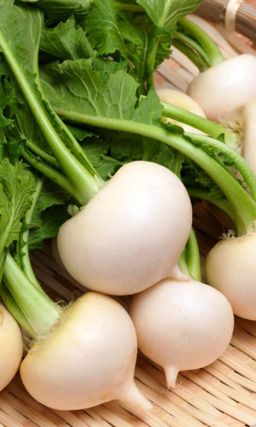 Репа ИВАНОВНА  Классика русской кулинарии! Сочные и сладкие корнеплоды! Замечательно хранится!