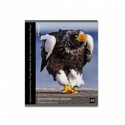 Цена за 5 шт. Тетрадь общая ученическая ErichKrause Энциклопедия, Красная книга России. Птицы, 48 листов, клетка, глянцевая ламинация_MIX-PACK  фото 4