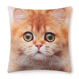 Подушка декоративная Этель Золотистая шиншилла 40х40 см, габардин, 100% п/э