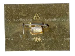 Значок Владимир