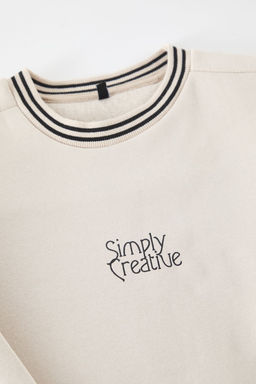 TRENDYOL MAN Ekru Regular/Normal Kesim Yaka Triko Bant Detayl? Yaz? Bask?l? Sweatshirt TMNAW25SW00108 - Trendyolmilla фото 7