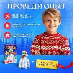 Набор для опытов Новогодние кристаллы, со змеей - Эврики фото 4
