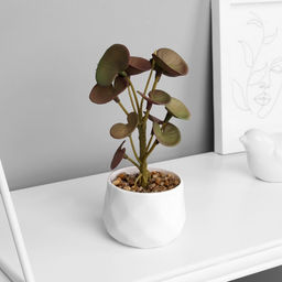 Искусственный цветок в горшке Пеперомия люкс (мягкий лист), 13?6 см, МИКС