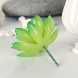 Суккулент искусственный 7х6 см / GN108 /уп 200/ - Галеонтрейд фото 2