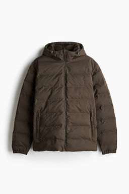 Chaqueta puffy Regular Fit