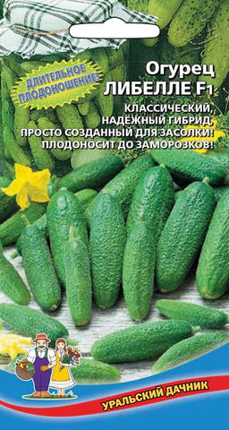 Огурец ЛИБЕЛЛЕ F1 Идеально для засола! - Уральский дачник фото 2