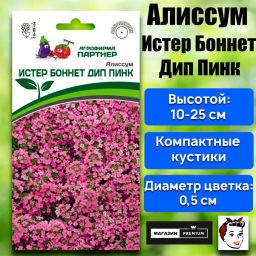 Алиссум морской Истер Боннет Дип Пинк - Партнер фото 2