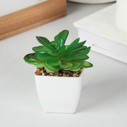 Цветочная композиция Кактус / WER-19 /уп 12/192/ микс - Галеонтрейд фото 6