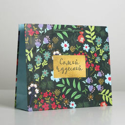 Цена за 2 шт. Пакет подарочный ламинированный, упаковка, Present for you, ML 25?21?8 см