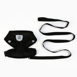 Шлейка дышащая с поводком и светоотражающей нашивкой, S, ОШ 27, ОГ 30-38, черная - Пушистое счастье фото 3