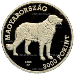 Монета 3000 форинтов 2025 года Венгрия Венгерская порода собак  Куваш