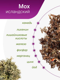 Исландский мох, 25 н/п - Травы горного крыма фото 7