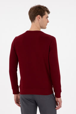 Мужской бордово-красный свитшот Неожиданная скидка в корзине - U.s. polo assn фото 5