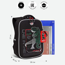 RAw-497-10 Рюкзак школьный - Grizzly фото 15